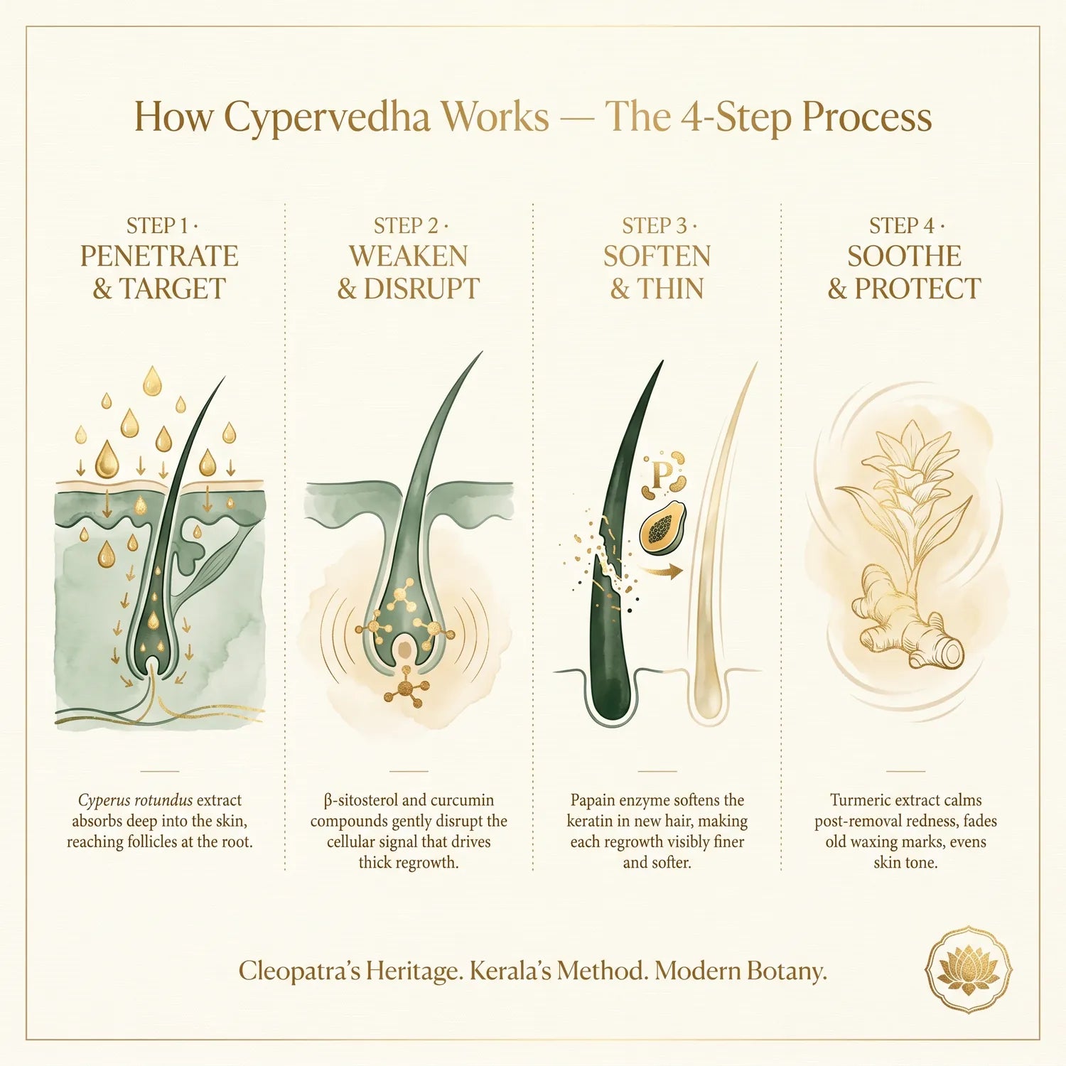 How Cypervedha Works — 4-Step Process: Penetrate, Weaken, Soften, Soothe