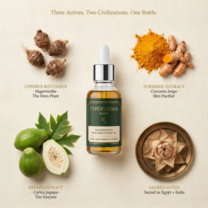 Three Actives Two Civilizations One Bottle — Cyperus rotundus, Turmeric extract, Papain extract, Sacred Lotus